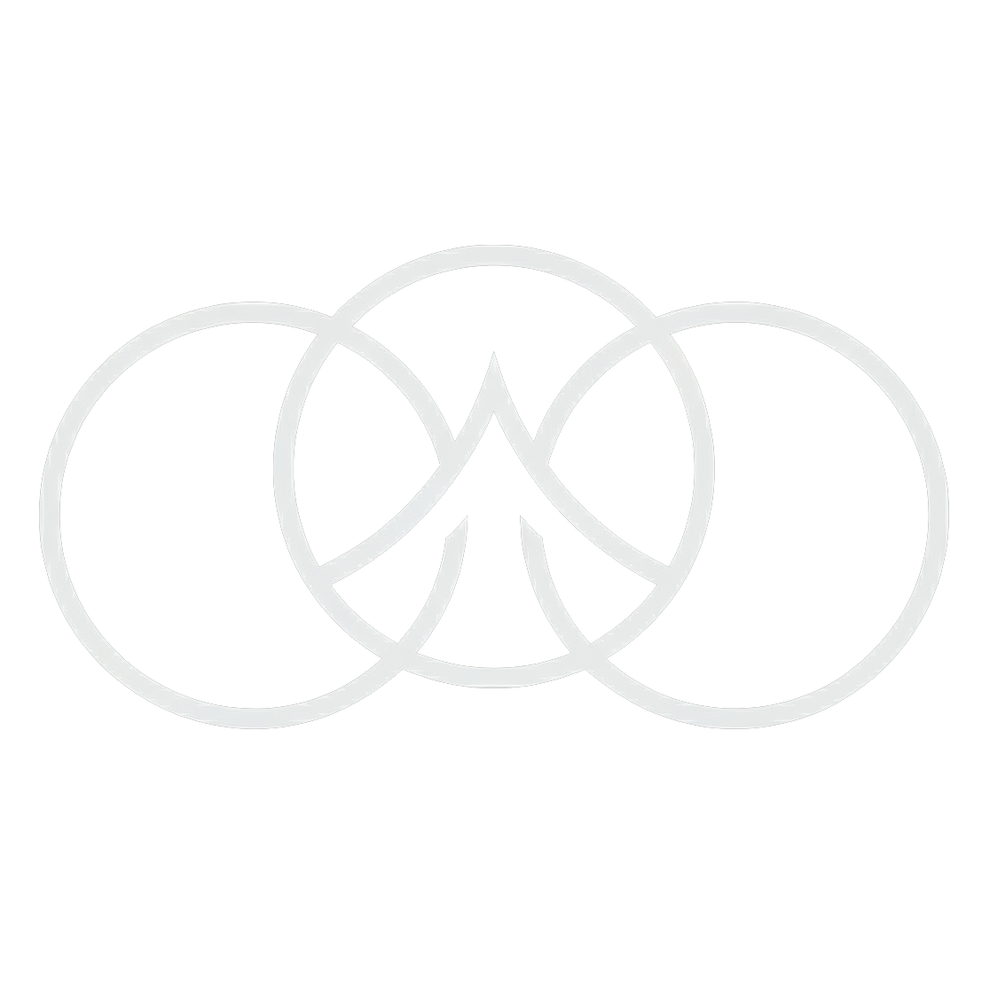 Walrus